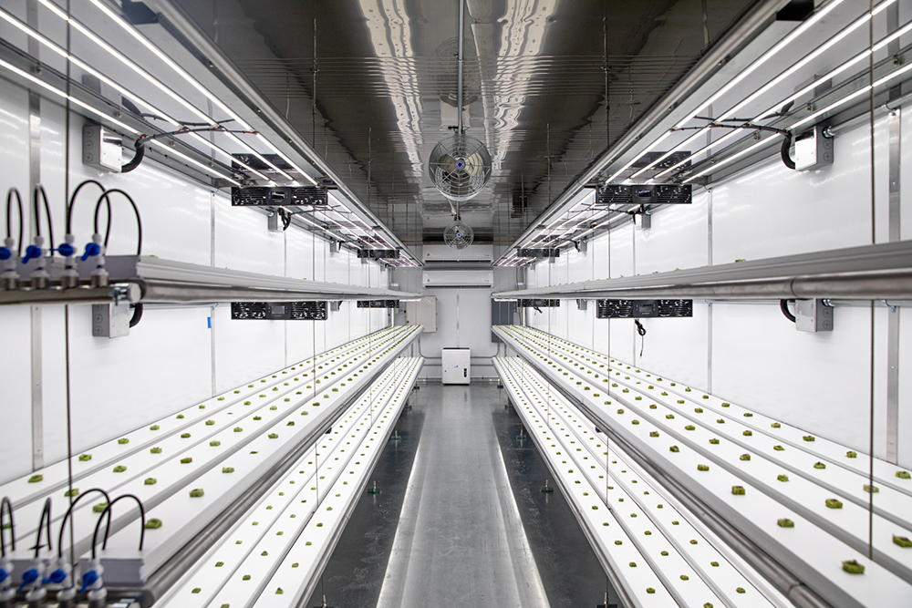 Automatic Vertical Farming Systems Integrated to Urban Farming