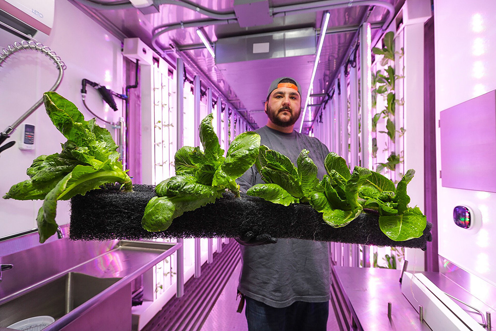 Hydroponic Grow Containers : Indoor Organic Farming System