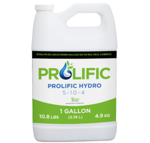 prolific Hydro Jug