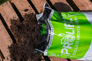 Prolific Soilles Bag