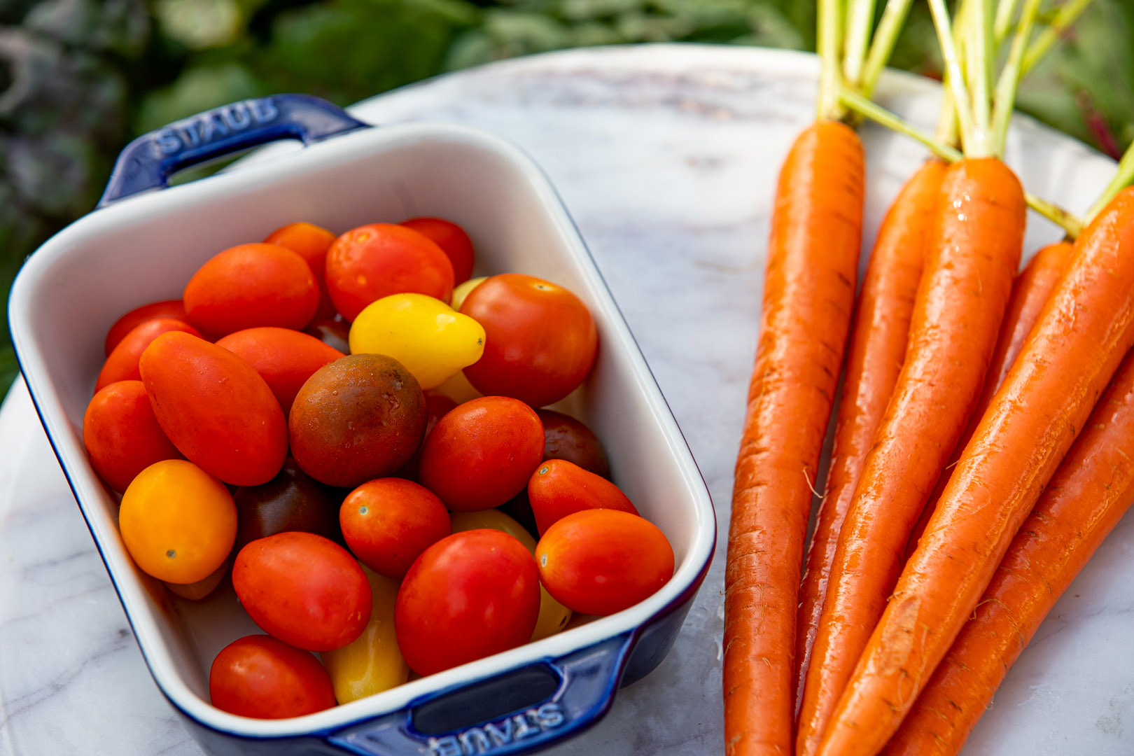 Safe and Clean Indoor Container Farming