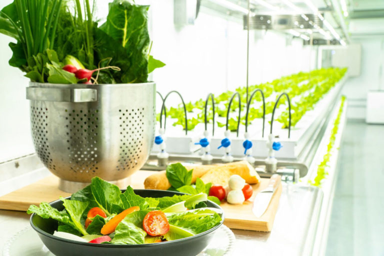 Future of Food Security Through Indoor and Vertical Farms