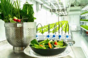 Solution to World Food Crisis Through Vertical Farming System