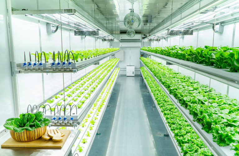 Vertical Farming - A Solution to World Food Crisis